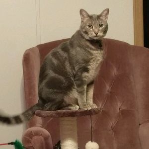 Meet your Posher, Deb